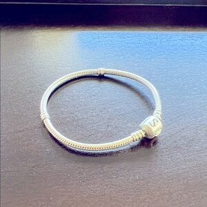 Sterling Silver Pandora style charm bracelet